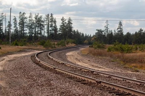 Railroad track going through a pine forest Stock Photos