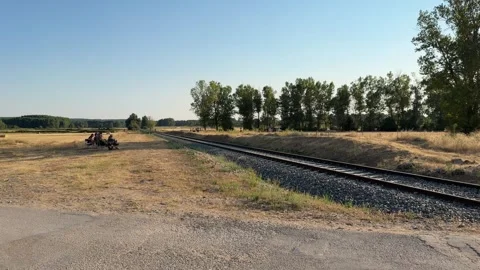 Railroad track running through a sunlit rural landscape Vídeo Stock 344147269