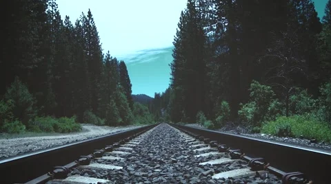 Railroad Tracks Deep In The Woods Stock Footage 62843247