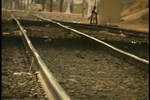 Railroad tracks 스톡 동영상 84721