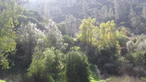 Railroad tracks in the forest Stock Footage 164227967