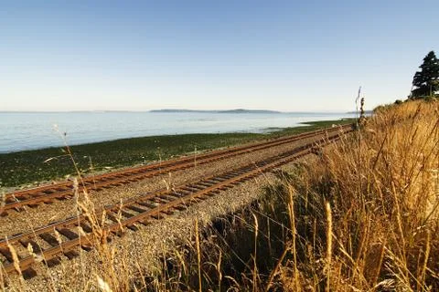 Railroad tracks Stock Photos