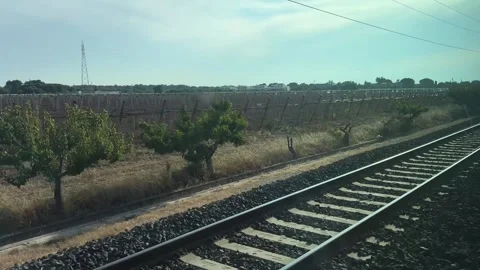 Railroad tracks run alongside extensive agricultural fields covered with protect Stock Footage 339278105