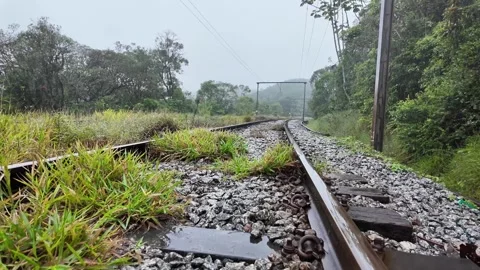 Railroad Tracks Through Atlantic Forest in Fog and Rain Brazil 4K Stock Footage 335398677