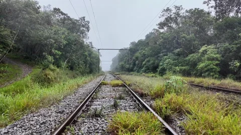 Railroad Tracks Through Atlantic Forest in Fog and Rain Brazil 4K Stock-Footage 335398694