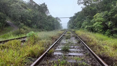 Railroad Tracks Through Atlantic Forest in Fog and Rain Brazil 4K Stock Footage 335398696