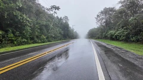 Railroad Tracks Through Tropical Forest in Fog and Rain Overcast 4K Stockbeeldmateriaal 335398005