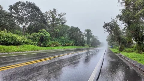 Railroad Tracks Through Tropical Forest in Fog and Rain Overcast 4K Stock Footage 335398008