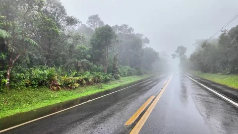 Railroad Tracks Through Tropical Forest in Fog and Rain Overcast 4K Stock-Footage 335398016