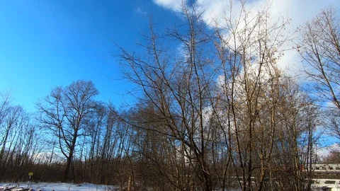 Railroad train on rails Stock Footage 88030529