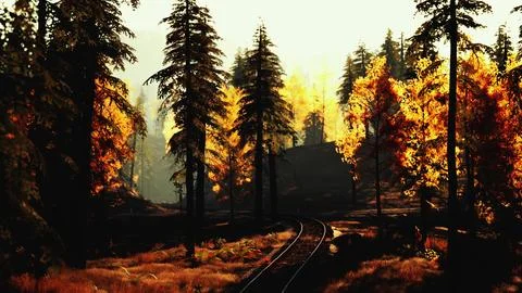 Railroad trough cypress pine forest with sun light Stock Illustration