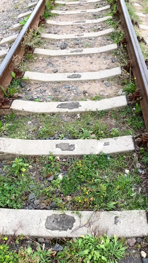 Railroad. Vertical video Stock Footage 282446584