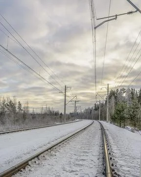 Railroad in the winter forest Stock Photos