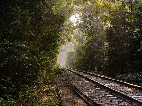 Railroads Stock Photos
