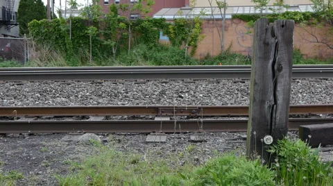 RailroadTracks01 Video stock 5163130