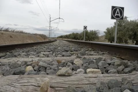 Rails and tracks of the train, as it passes by an oleicola exploitation Stock Photos