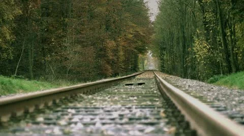 Rails in the Forest Stock Footage 10592865