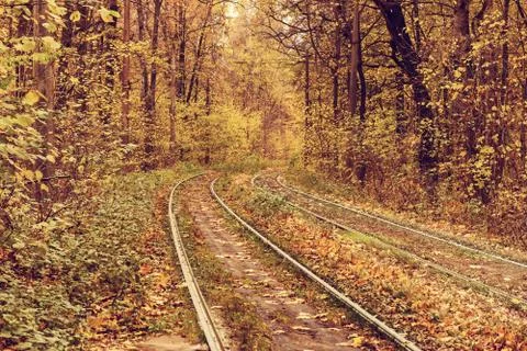 Rails in the forest Stockfoto's