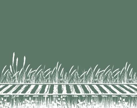 Rails Stock Illustration