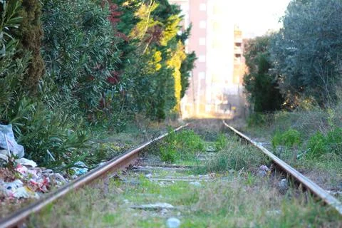 Rails to Infinity: Perspective of Train Tracks Stock Photos