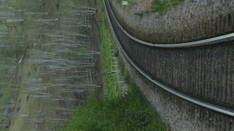 Rails, trees and railway, view from the window of the car. Stock Footage 81577078