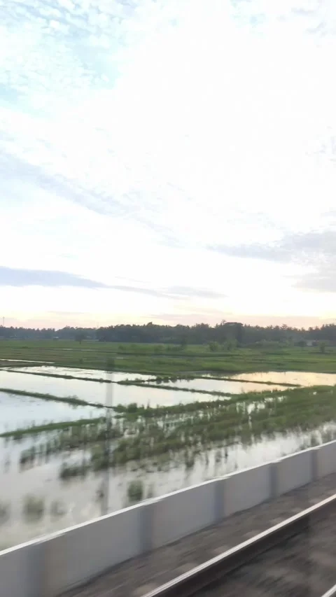 Railway and green rice fields Stock Footage 336674908