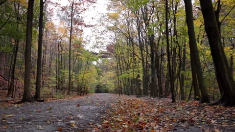 Railway Bridge With Cargo Train Over Hiking Trail Stock-Footage 234229447