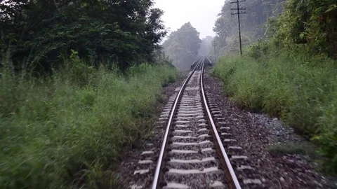 Railway bridge pass forest. Stock Footage 70711960