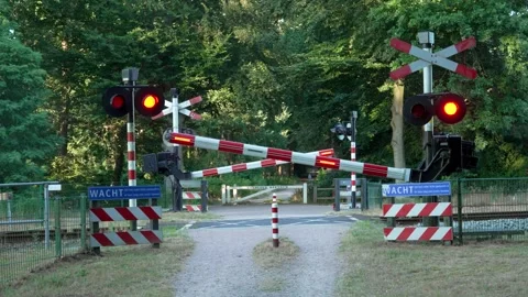 Railway crossing barriers closing down as dutch regional train passes through Stock Footage 341757924