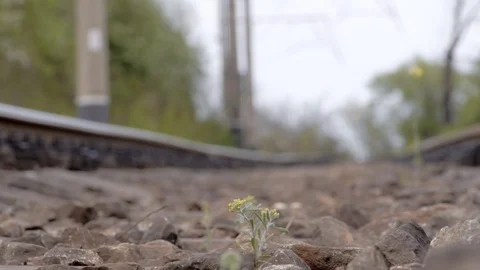 Railway day spring without train Stock Footage 118971505