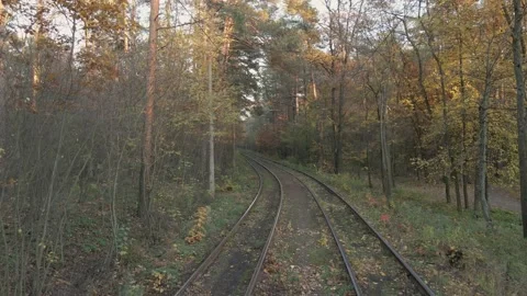 Railway in the forest. Fall, drone shot. Stock Footage 162782727