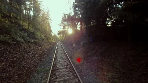 Railway in the forest Stock-Footage 46063325