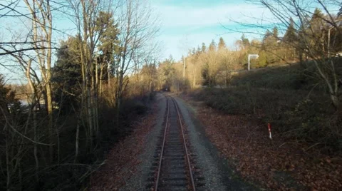 Railway in the forest Stock-Footage 46063560
