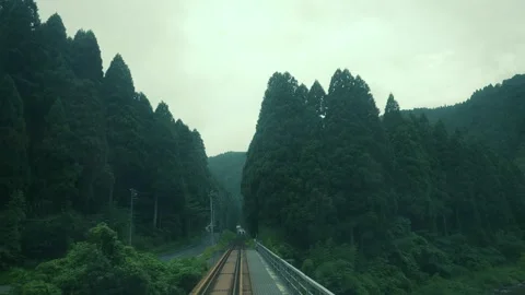 RAILWAY INTO THE FOREST Stock Footage 263220357