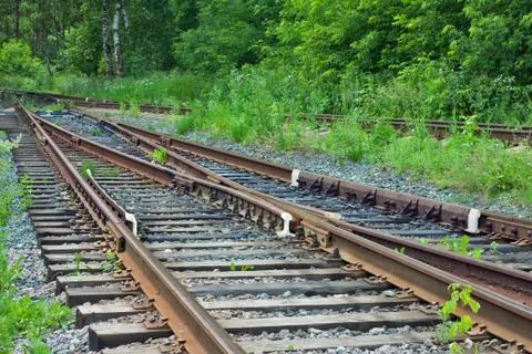 Railway in a forest Stock Photos