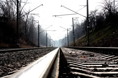 Railway in forest Fotos Stock