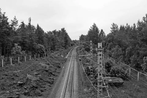 Railway  in the forest Stock Photos