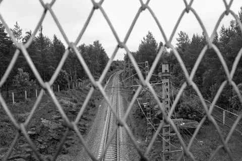 The railway in the forest Stock Photos