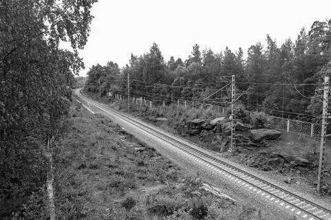 The railway in the forest Stock Photos