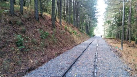 Railway in the forest Stock Photos