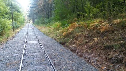 Railway in the forest Stock Photos