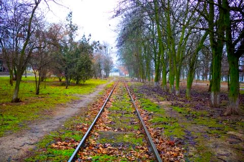 Railway in the forest Foto stock