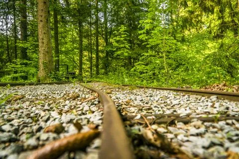 Railway in the forest Stock Photos