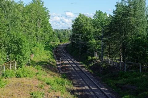 Railway in the forest. Stock Photos