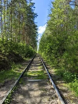 Railway in the forest Stock Photos