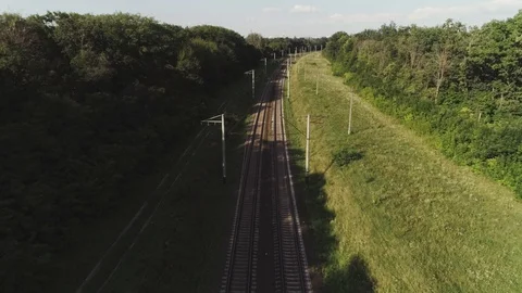 Railway in the forest, power lines Video stock 96444904