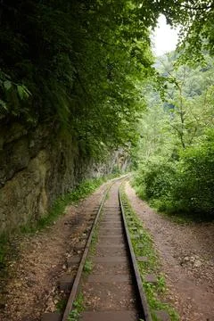 Railway in the forest, summer in the rainforest Stock Photos