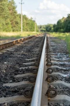 Railway in the forest in the sunlight Stock Photos
