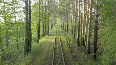 Railway in the green forest 4 Video stock 236788482