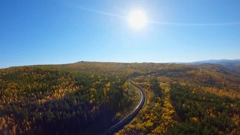 Railway with a moving train in the forest Stock Footage 122794223